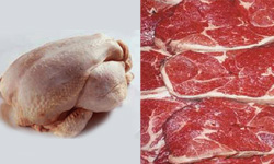 توزیع 1200 تن گوشت مرغ پایان سال در مازندران